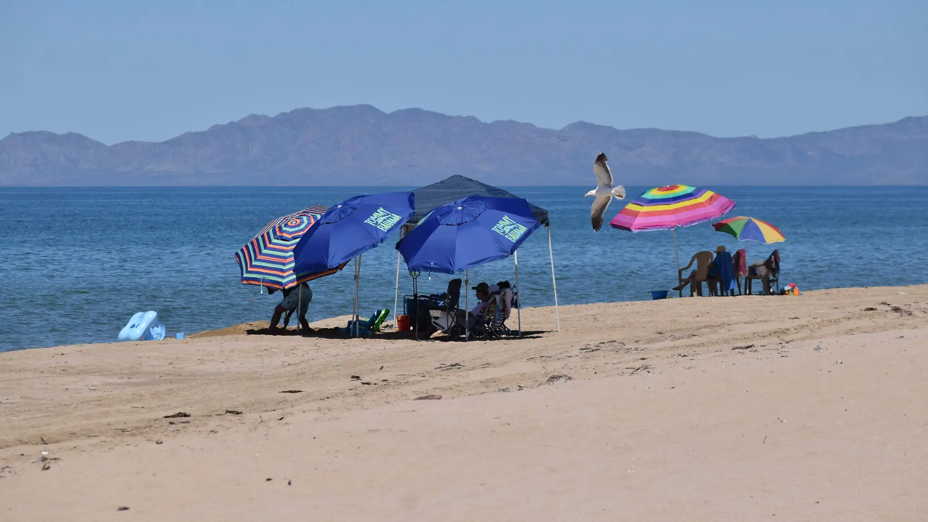 Bahia de Kino-Carlos Villalba (31) (1)